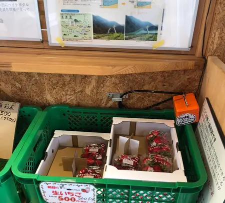 新阿蘇大橋の写真・動画_image_1588660