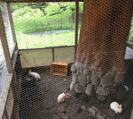 アーデンホテル阿蘇の写真・動画_image_1588674