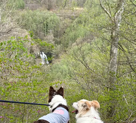 萌木の村の写真・動画_image_1588885