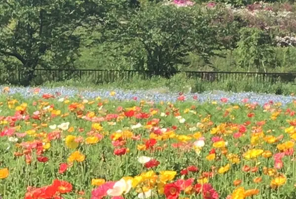 富田さとにわ耕園の写真・動画_image_1590868