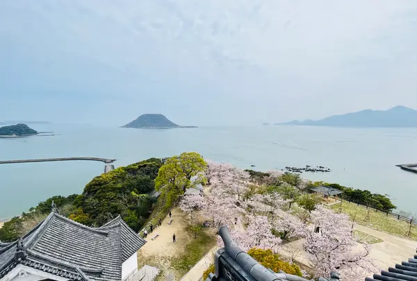 唐津城の写真・動画_image_1591841