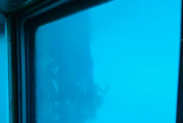 呼子萬坊の写真・動画_image_1591901