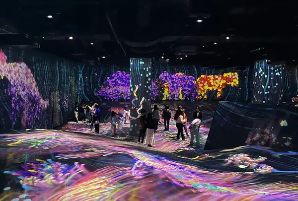 teamLab Forest / チームラボフォレスト – SBI証券の写真・動画_image_1591926