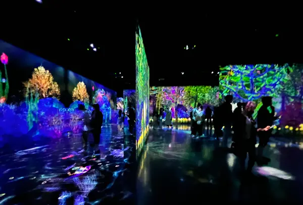 teamLab Forest / チームラボフォレスト – SBI証券の写真・動画_image_1591927
