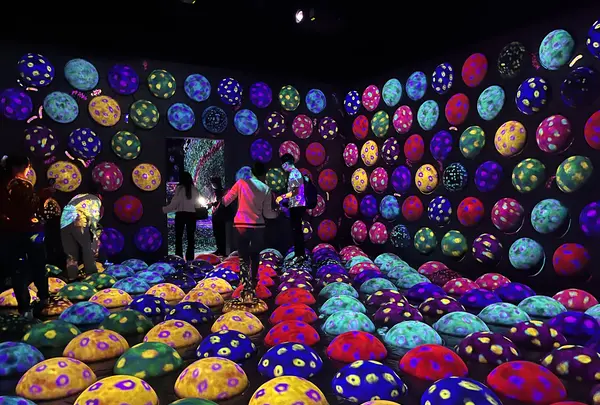 teamLab Forest / チームラボフォレスト – SBI証券の写真・動画_image_1591928
