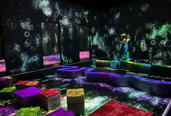 teamLab Forest / チームラボフォレスト – SBI証券の写真・動画_image_1591929