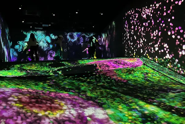 teamLab Forest / チームラボフォレスト – SBI証券の写真・動画_image_1591930