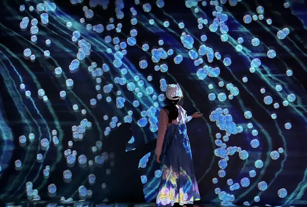 teamLab Forest / チームラボフォレスト – SBI証券の写真・動画_image_1591931