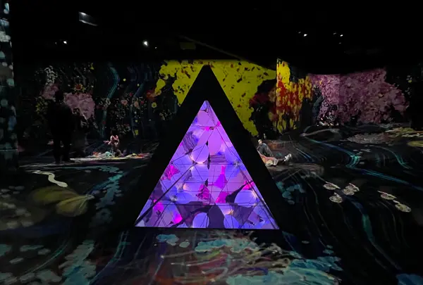 teamLab Forest / チームラボフォレスト – SBI証券の写真・動画_image_1591933