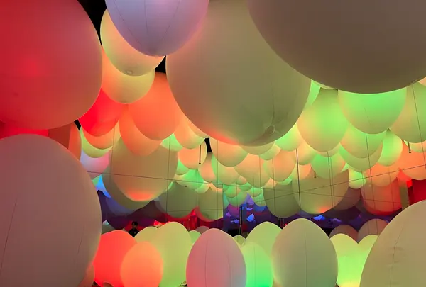 teamLab Forest / チームラボフォレスト – SBI証券の写真・動画_image_1591935