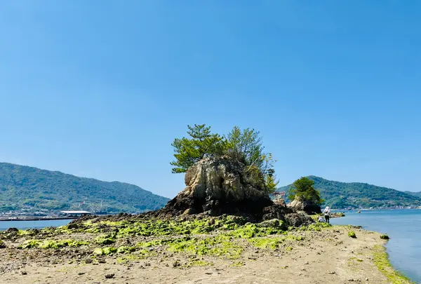 船霊社の写真・動画_image_1596620