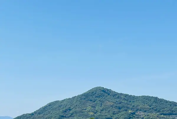 ネイビーロード（群青の道）の写真・動画_image_1596622