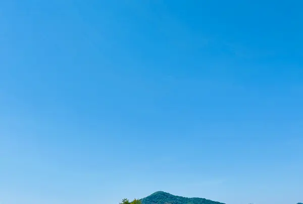 ネイビーロード（群青の道）の写真・動画_image_1596623