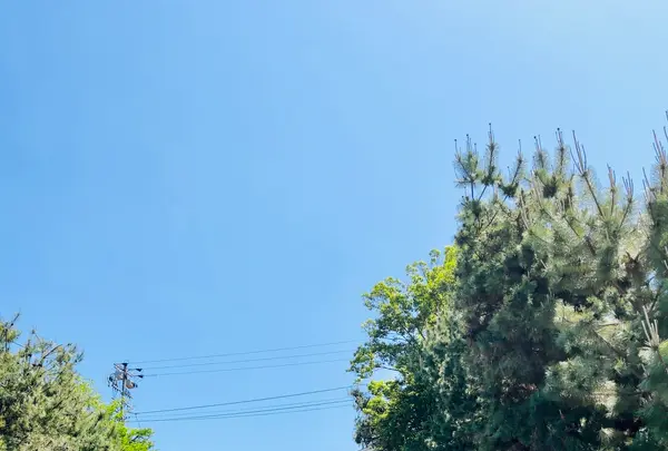 海上自衛隊呉地方総監部の写真・動画_image_1596635