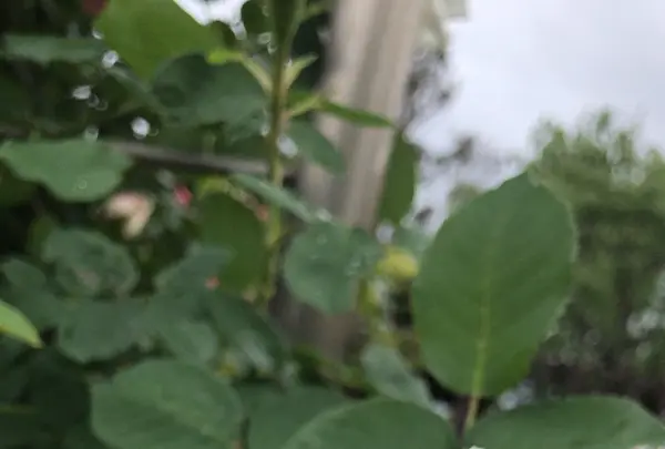 千葉市都市緑化植物園の写真・動画_image_1597214