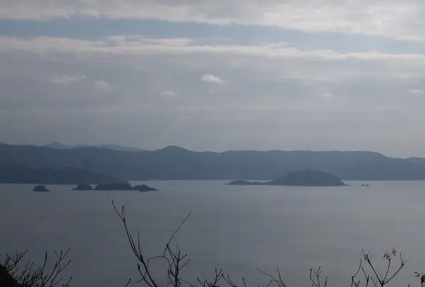 有田みかん街道の写真・動画_image_160036