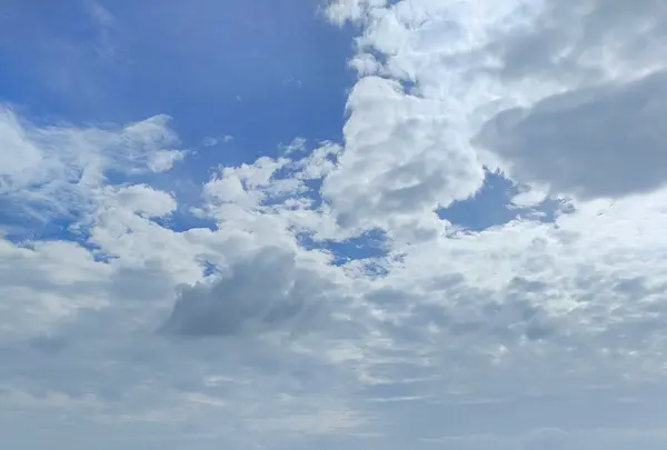 観音岩の写真・動画_image_1606293