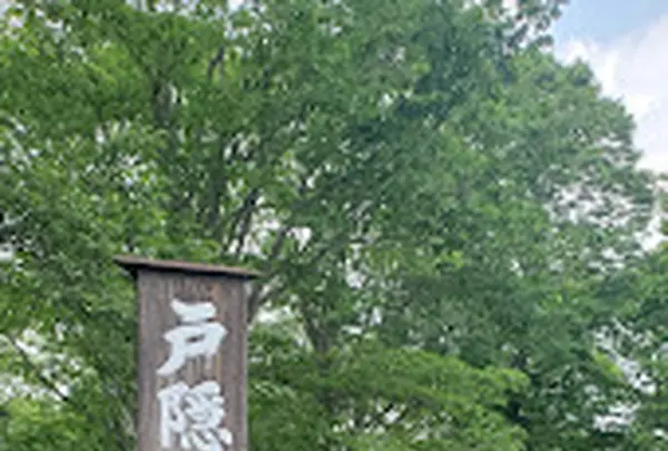 戸隠神社奥社入口駐車場の写真・動画_image_1610312