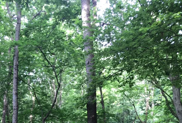 泉自然公園の写真・動画_image_1610634