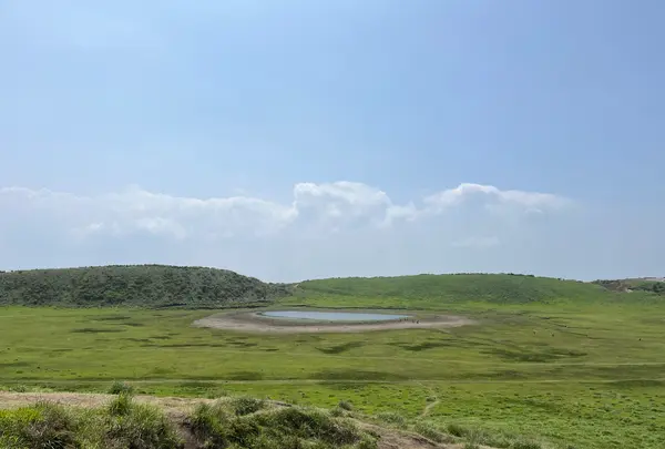  草千里ヶ浜の写真・動画_image_1619612