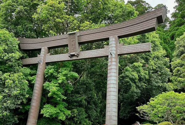 高千穂神社の写真・動画_image_1619631