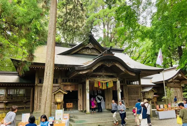 高千穂神社の写真・動画_image_1619632