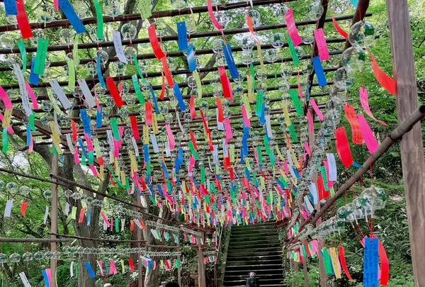 如意輪寺 （かえる寺）の写真・動画_image_1619652