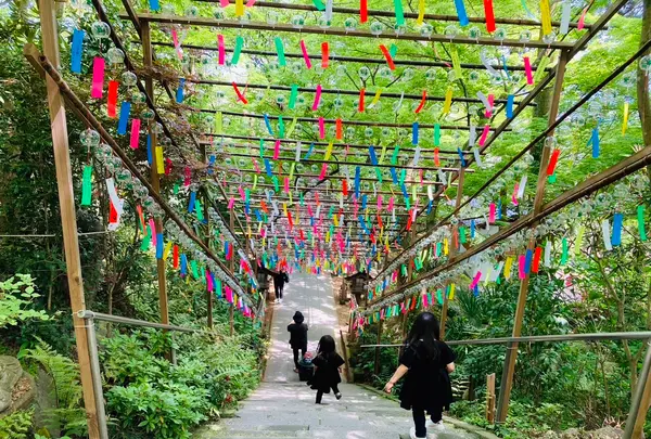 如意輪寺 （かえる寺）の写真・動画_image_1619653