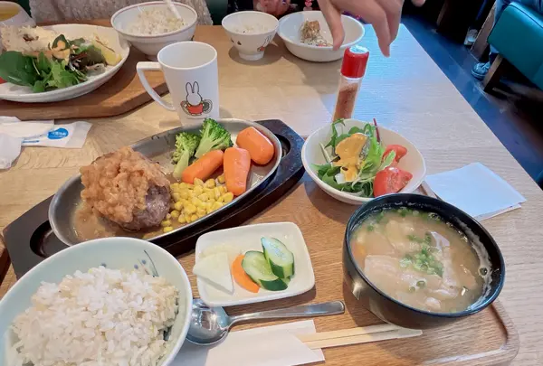 キッチン よい一日の写真・動画_image_1619659