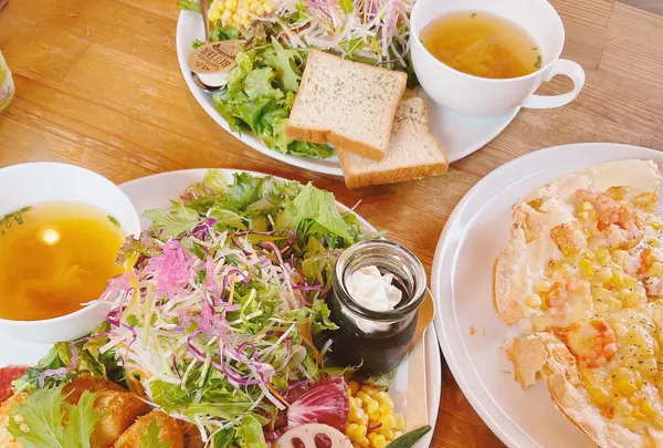 Mcafe+Vegeの写真・動画_image_1619896