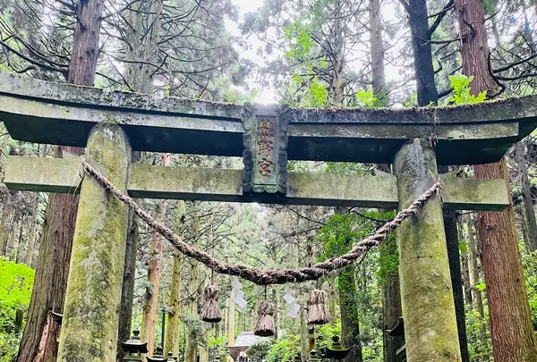 上色見熊野座神社の写真・動画_image_1620516