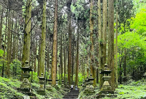 上色見熊野座神社の写真・動画_image_1620518