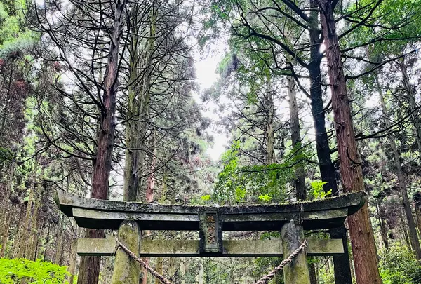 上色見熊野座神社の写真・動画_image_1620520