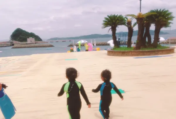 高島海水浴場の写真・動画_image_1621043