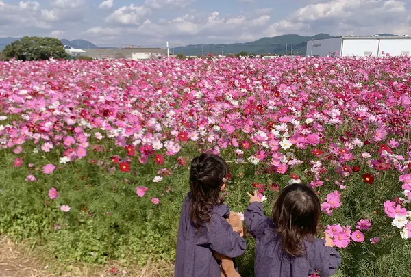 キリンビール 福岡工場の写真・動画_image_1621215