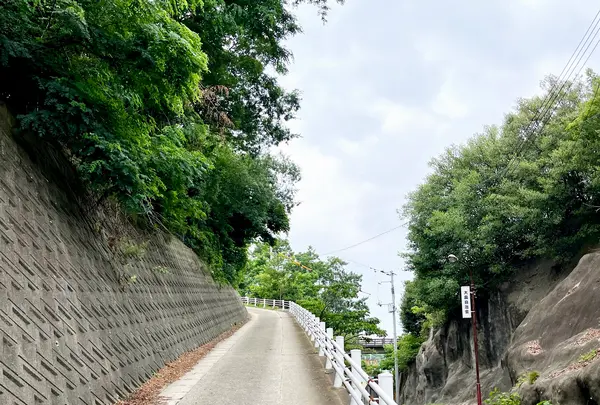 時の回廊の写真・動画_image_1636127