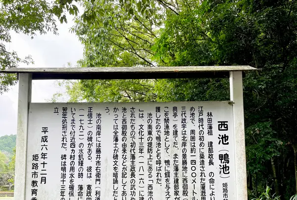 須濱神社の写真・動画_image_1636134