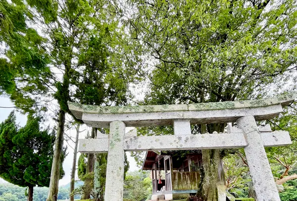 須濱神社の写真・動画_image_1636135