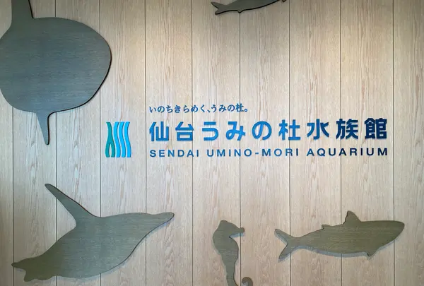 仙台うみの杜水族館の写真・動画_image_1642143