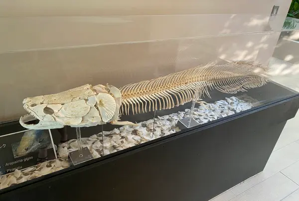仙台うみの杜水族館の写真・動画_image_1642144