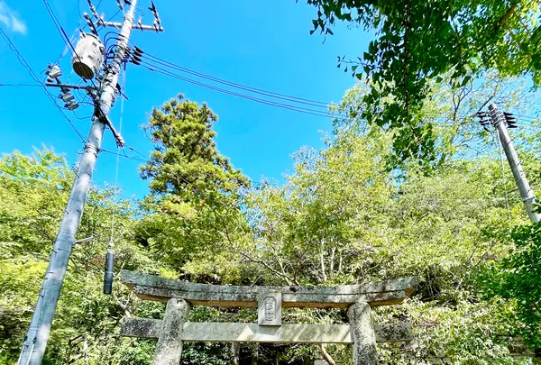 軽部神社の写真・動画_image_1656419