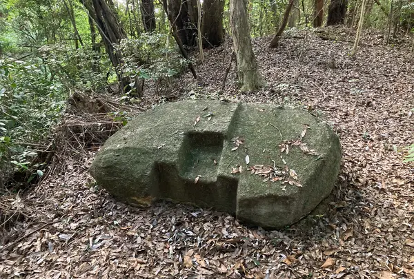 石城山神籠石の写真・動画_image_1663572
