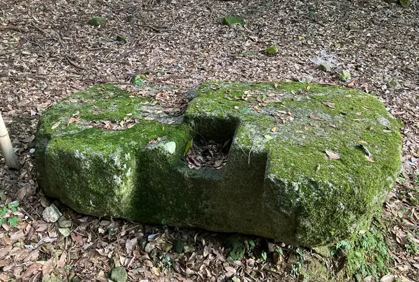 石城山神籠石の写真・動画_image_1663573