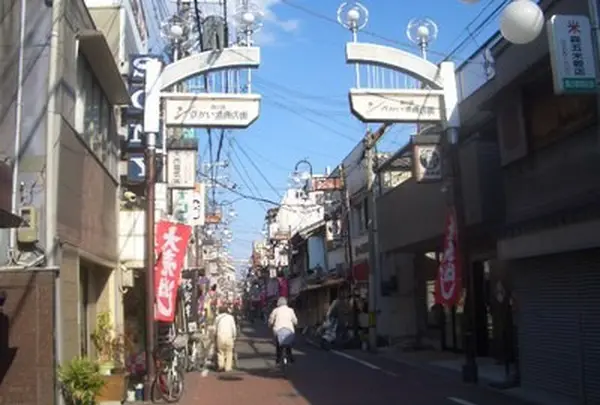 京かい道筋商店街の写真・動画_image_166683