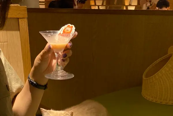 猫カフェ モカラウンジ新宿店の写真・動画_image_1669884