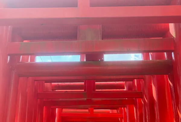小泉稲荷神社の写真・動画_image_1682445