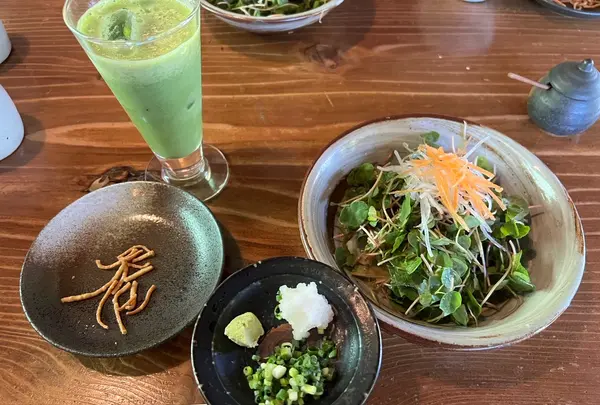 木漏れ陽の写真・動画_image_1692401