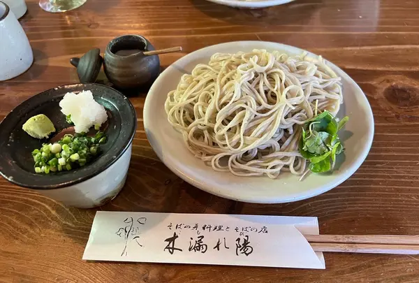 木漏れ陽の写真・動画_image_1692402