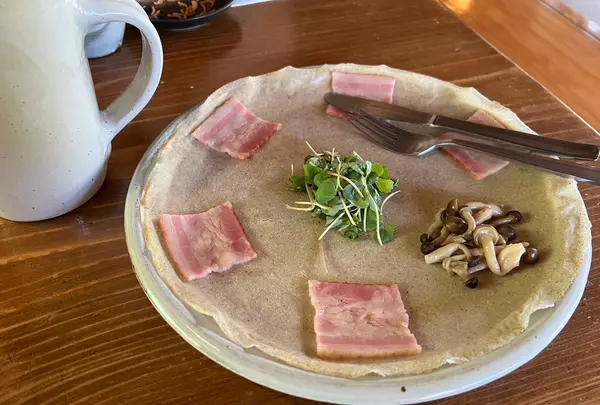 木漏れ陽の写真・動画_image_1692403