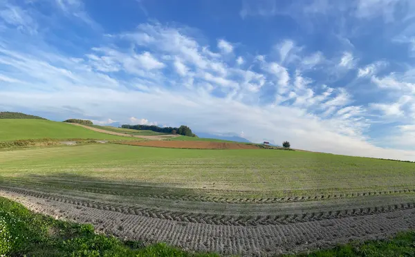 美瑛町　丘の写真・動画_image_1693869